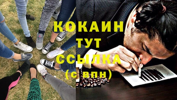 спиды Пересвет