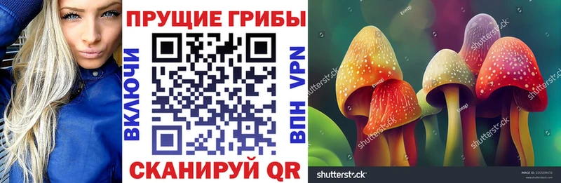 Галлюциногенные грибы GOLDEN TEACHER  Берёзовский 